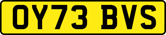 OY73BVS