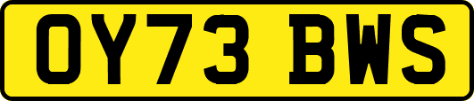 OY73BWS