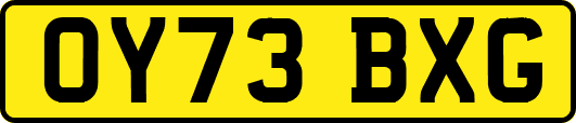 OY73BXG