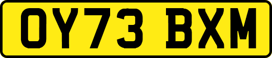 OY73BXM