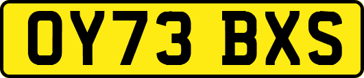 OY73BXS