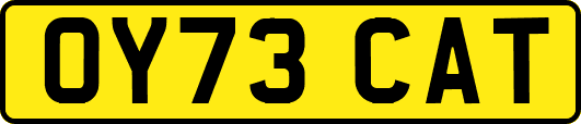 OY73CAT
