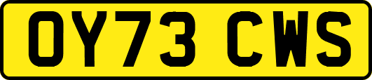 OY73CWS