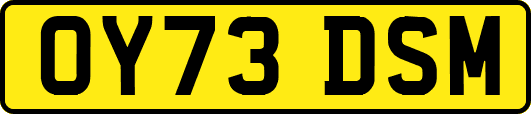 OY73DSM