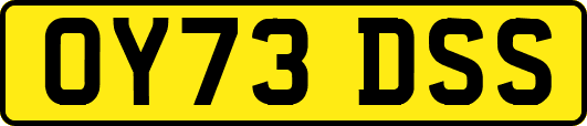 OY73DSS