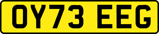 OY73EEG
