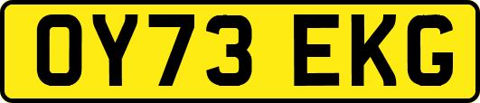 OY73EKG