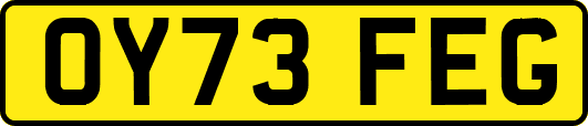 OY73FEG