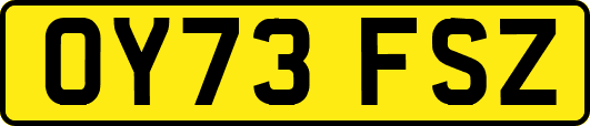 OY73FSZ