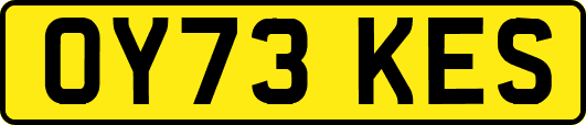 OY73KES