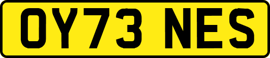 OY73NES