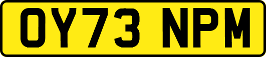 OY73NPM