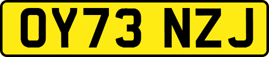 OY73NZJ