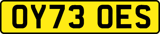 OY73OES