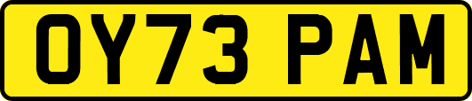 OY73PAM