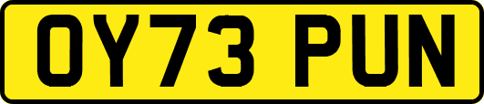 OY73PUN