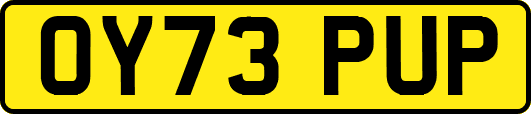 OY73PUP