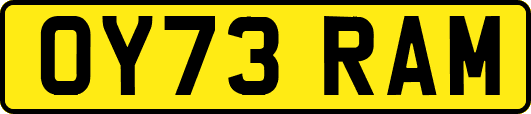 OY73RAM