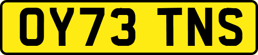 OY73TNS