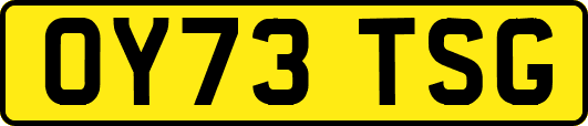 OY73TSG