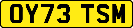 OY73TSM