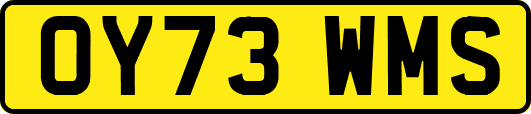 OY73WMS