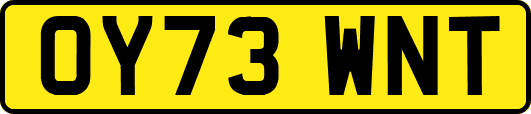 OY73WNT