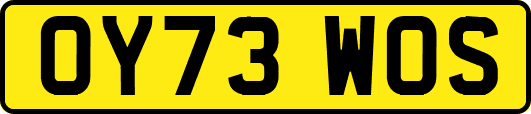 OY73WOS
