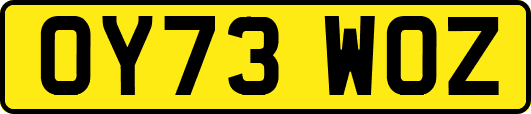 OY73WOZ