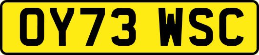 OY73WSC