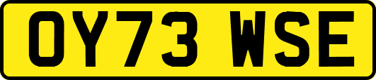OY73WSE