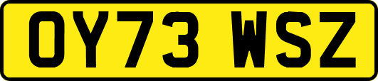 OY73WSZ