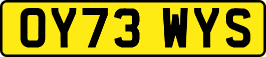 OY73WYS