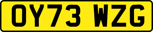 OY73WZG