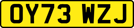 OY73WZJ