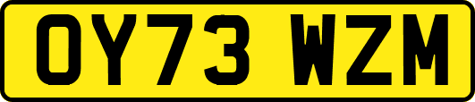 OY73WZM