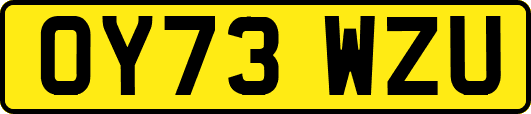 OY73WZU