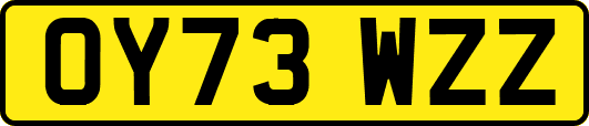OY73WZZ