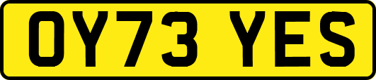 OY73YES