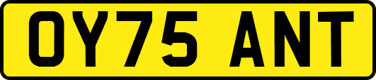 OY75ANT