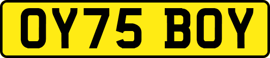 OY75BOY