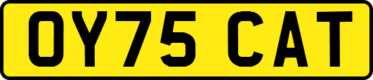 OY75CAT