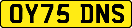 OY75DNS