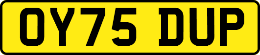 OY75DUP