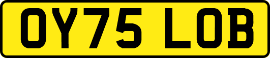 OY75LOB