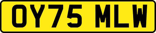 OY75MLW