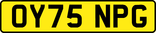 OY75NPG
