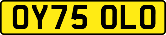 OY75OLO