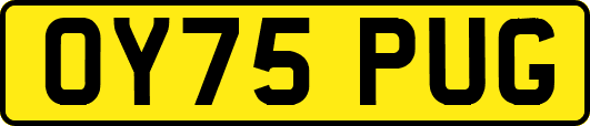 OY75PUG