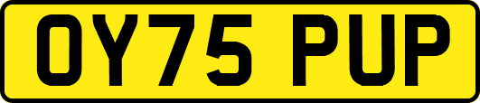OY75PUP